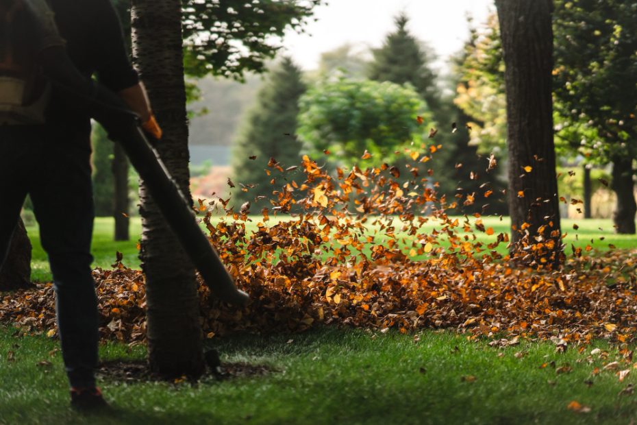 Concimare il prato a novembre